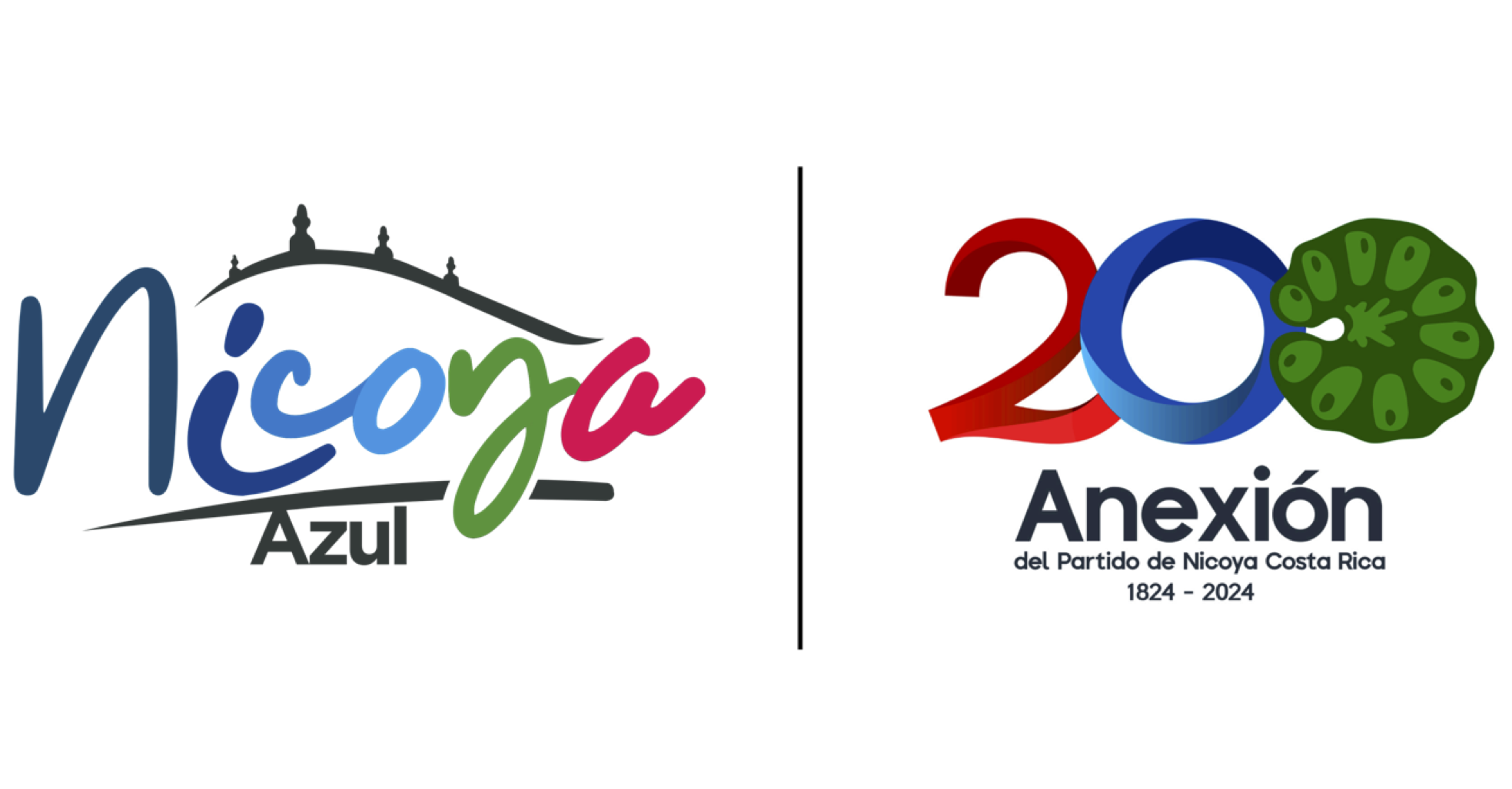 Logo Footer